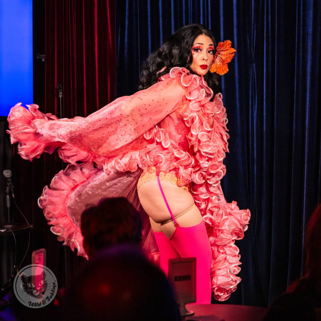 Wild & Sublime Live in Chicago - February 2026 - Vivi Valens
