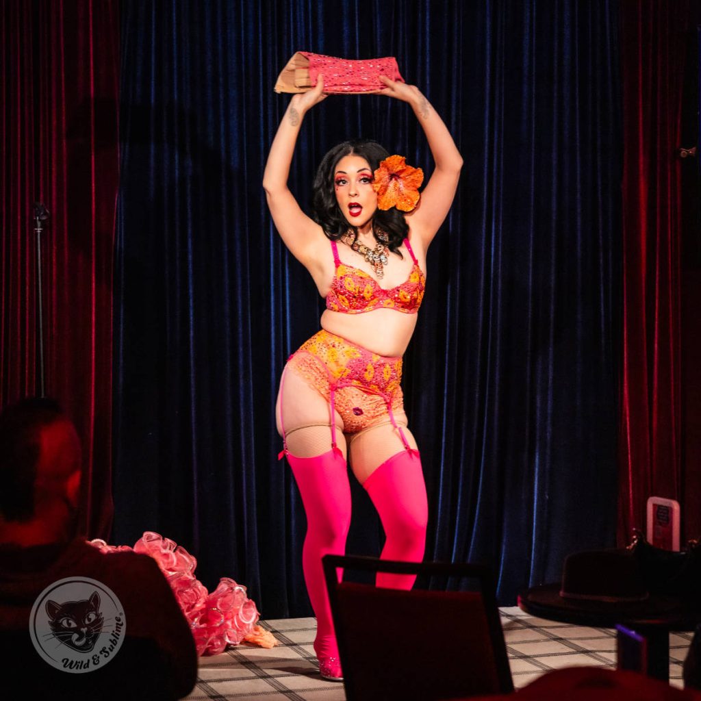 Wild & Sublime Live in Chicago - February 2026 - Vivi Valens